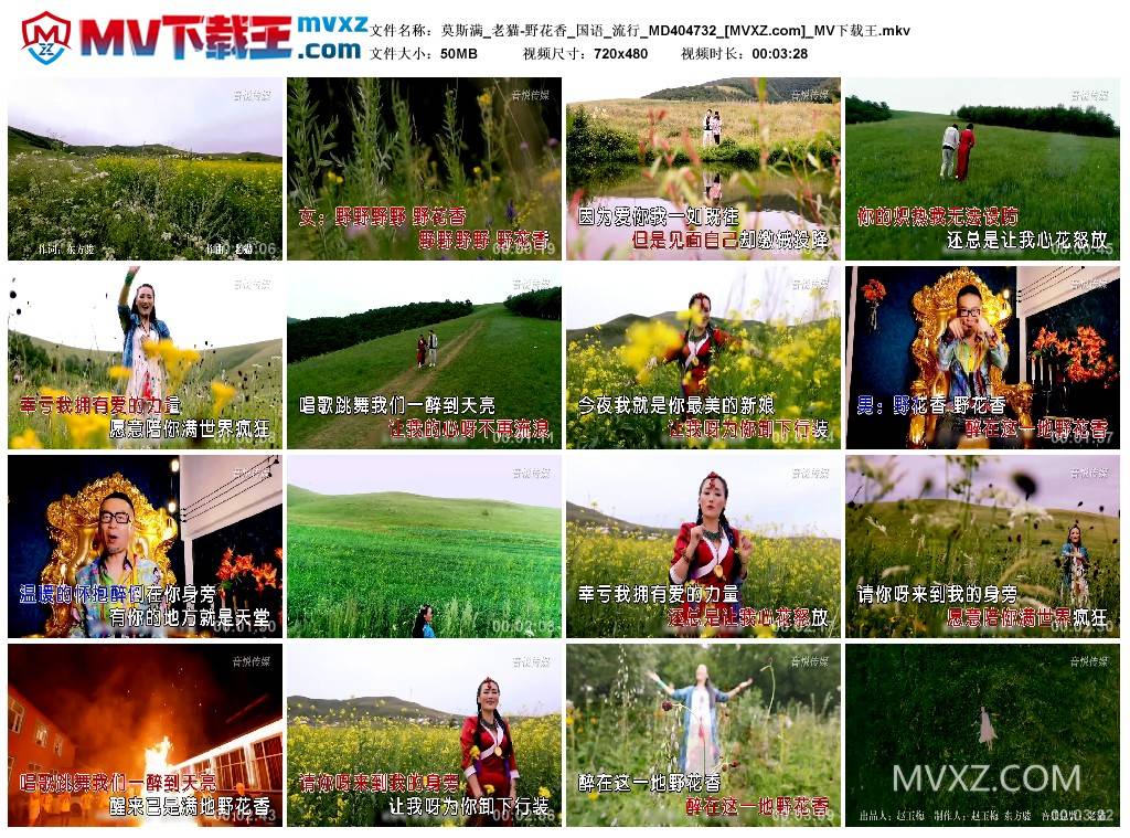 莫斯满_老猫-野花香_国语_流行_MD404732